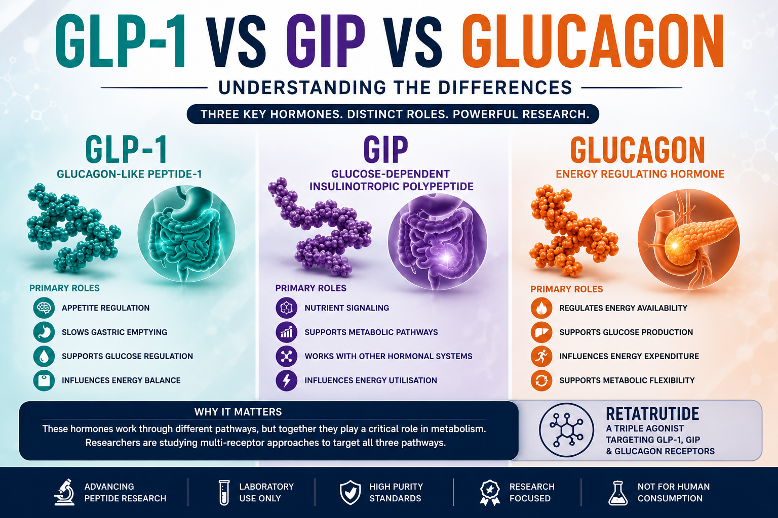 define glp-1 GLP-1 vs GIP vs Glucagon: Understanding the Differences – Wellness Health & Cosmetic Products