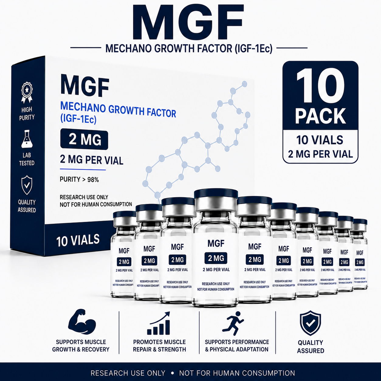 MGF (Mechano Growth Factor)